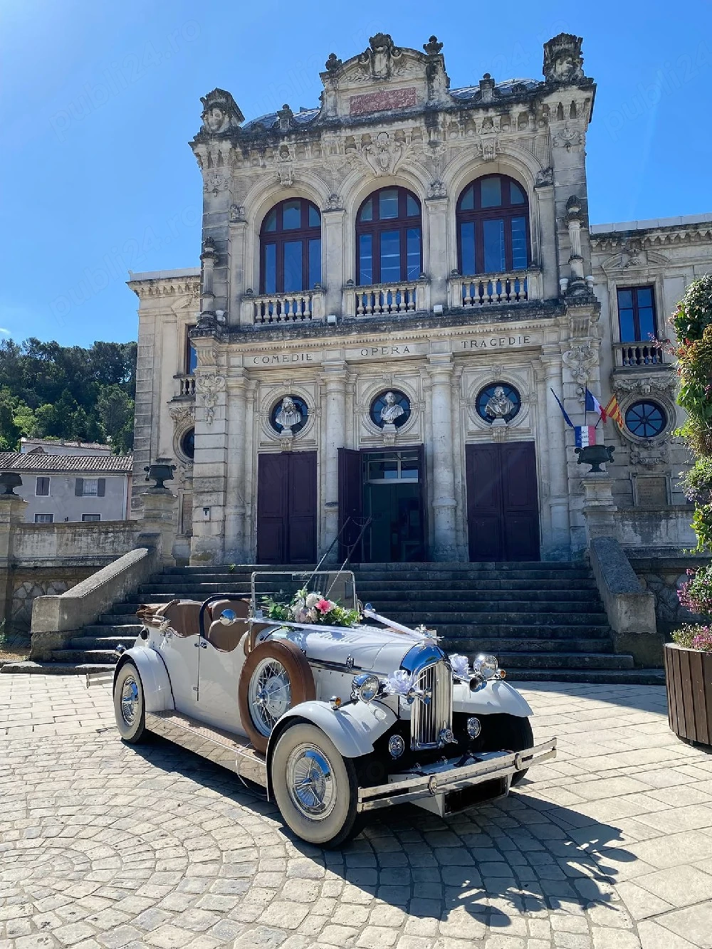 vand volkswagen beetle 