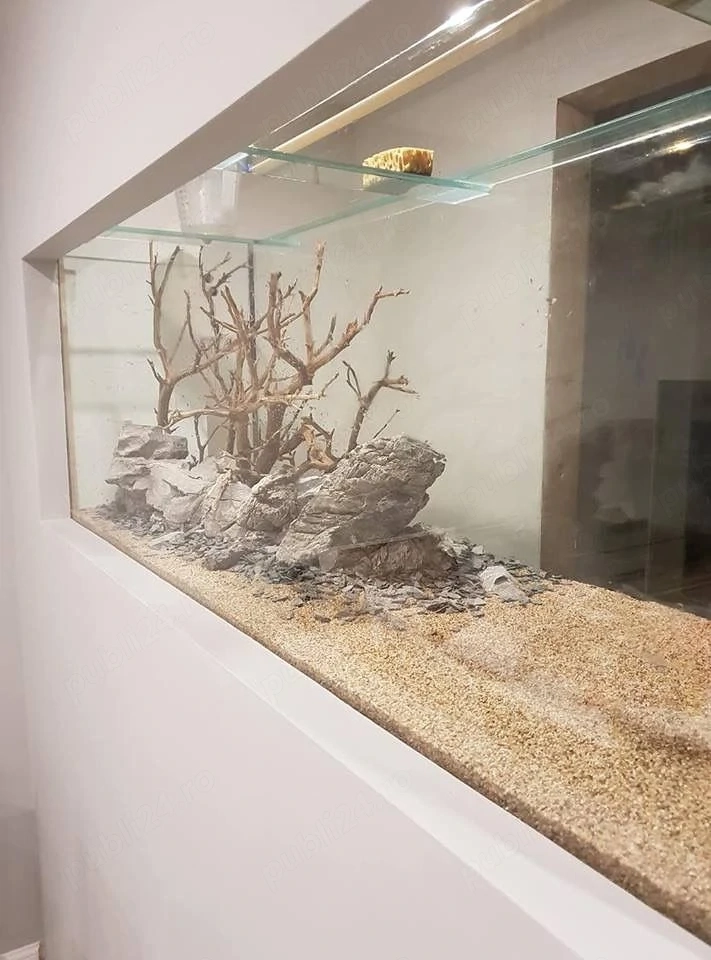 Acvarii din sticlă și plexiglas   modele pentru orice spațiu