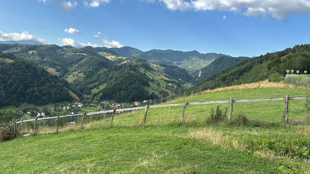 vanzare teren Rucar Dambbovicioara