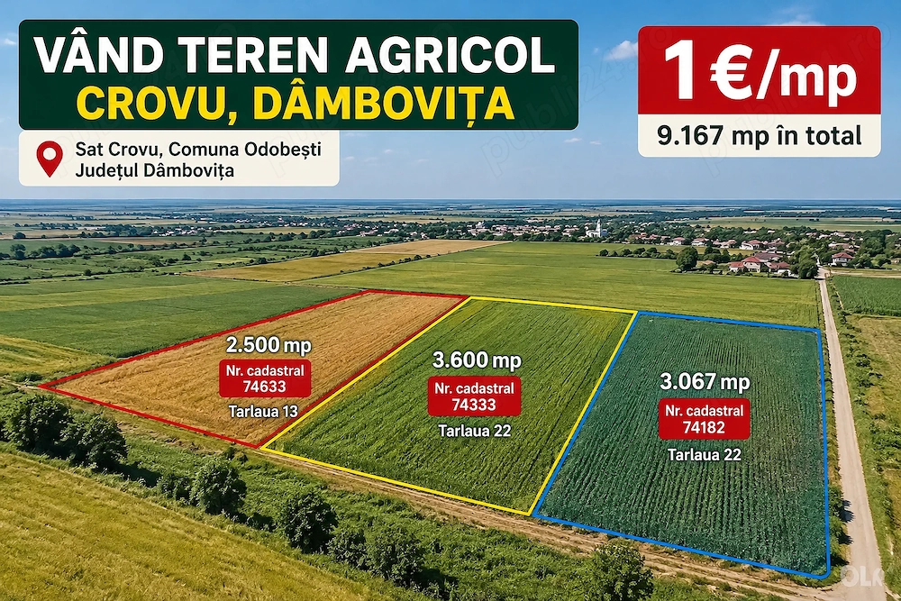 Vând teren agricol extravilan   Crovu, Dâmbovița   9.167 mp 