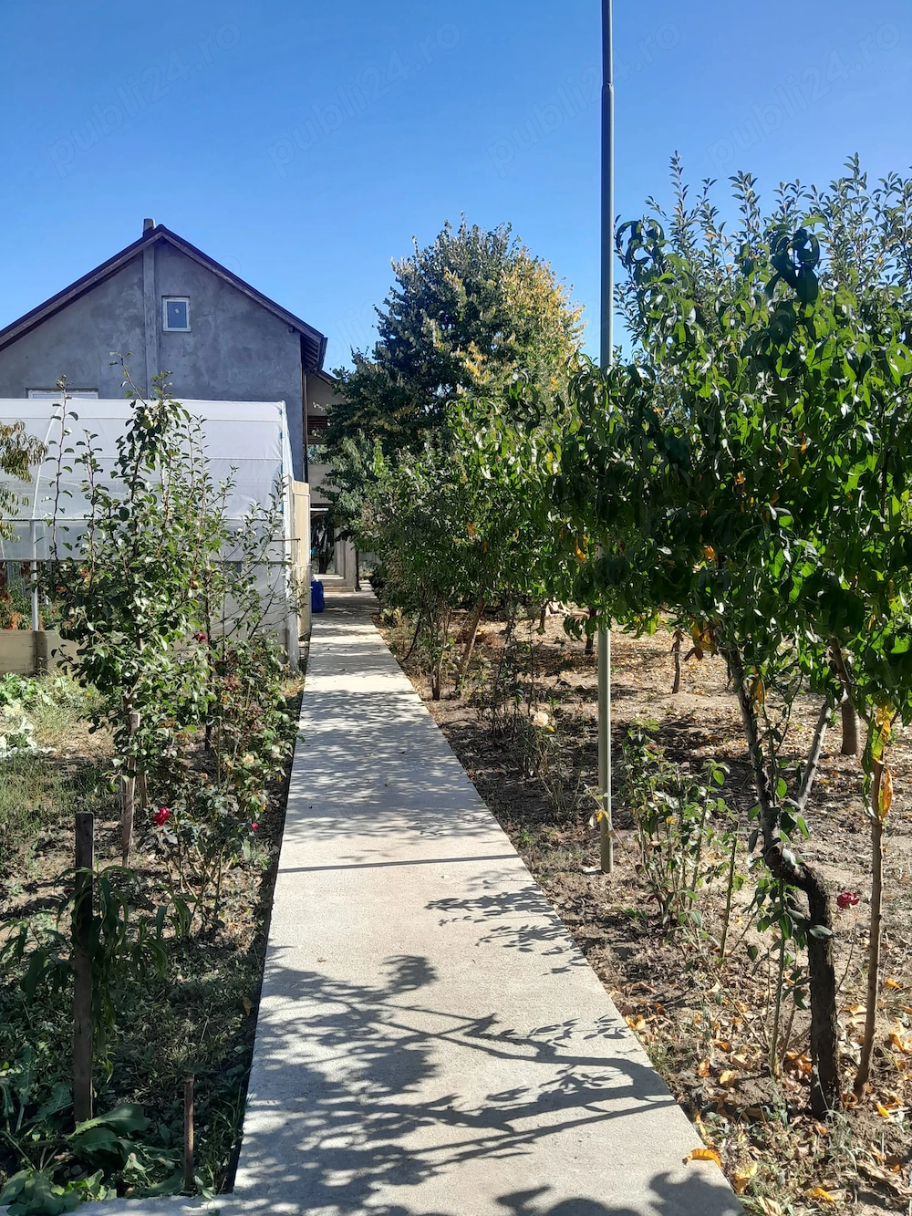 Casa P+1cu teren 1417mp in Giurgiu