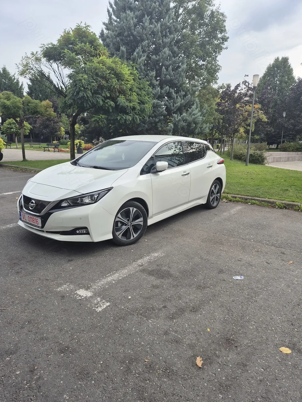 Nissan Leaf 2020