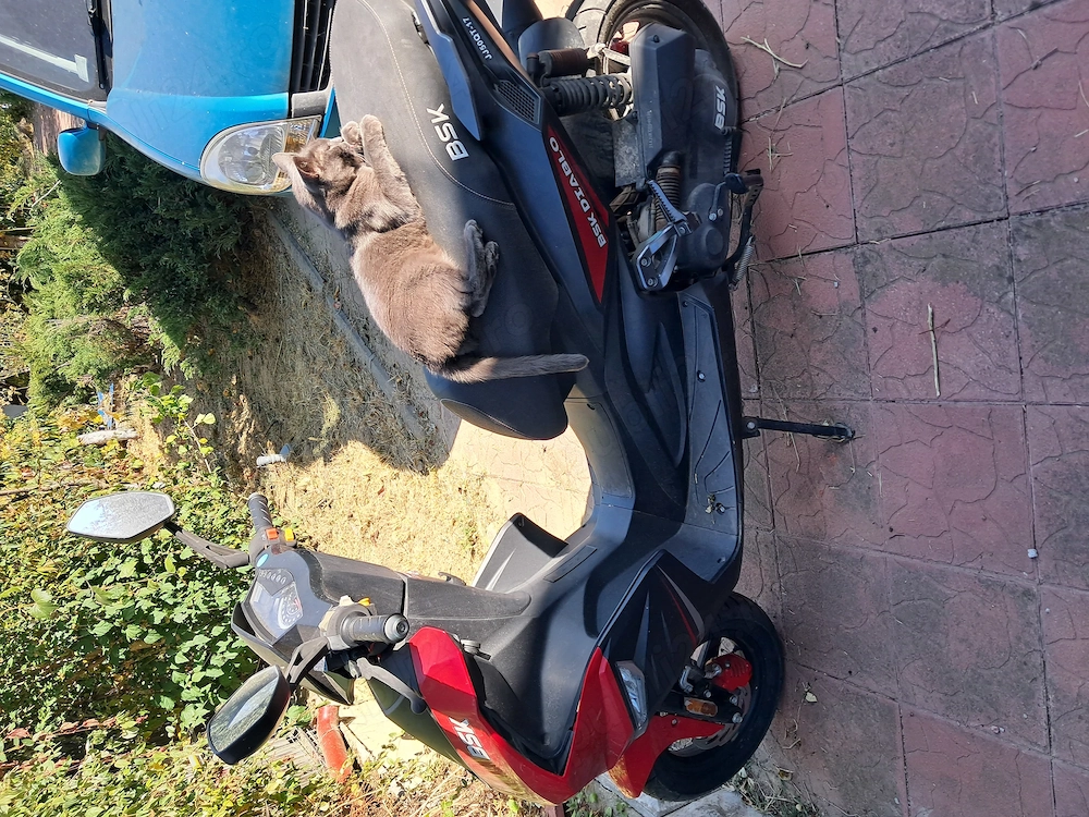 Vand Motoscuter
