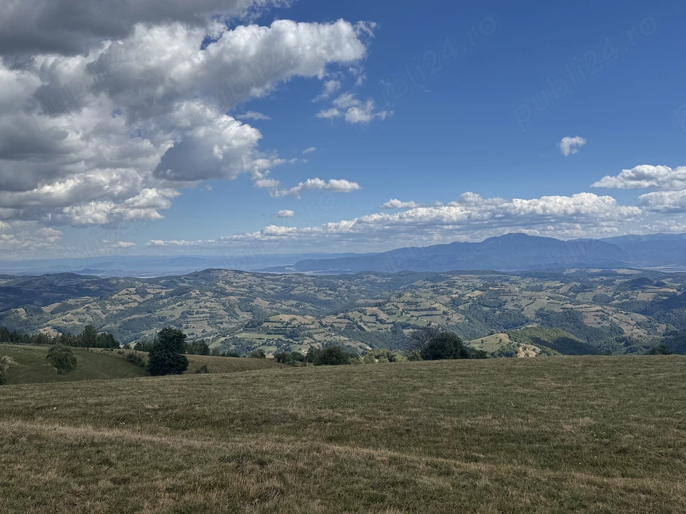 Teren platou superb de 16.000mp cu curent 380V Poiana Mărului   Bârsa Fierului