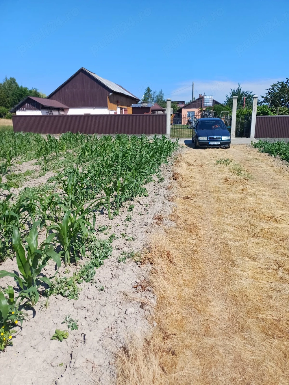 Casă cu 9.100 m  teren intravilan, livadă pe rod și anexe   Stânca, Zvoriștea, Suceava   40.000 euro
