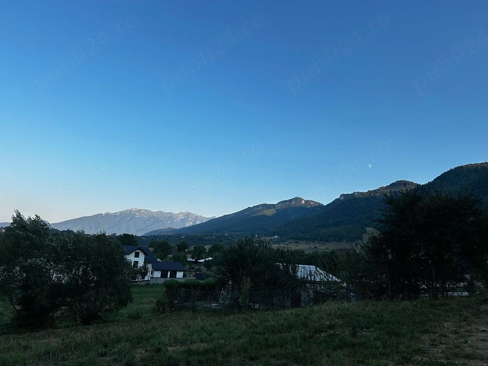 Teren Hora cu Brazi, intravilan Zarnesti 