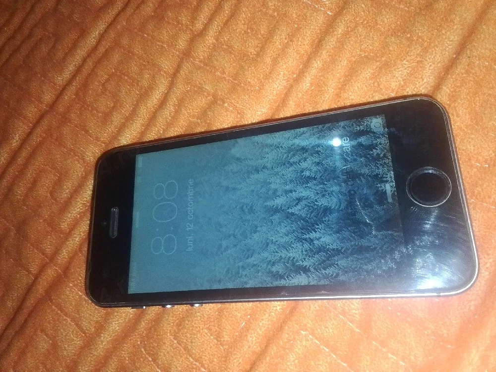 iPhone 5s 
