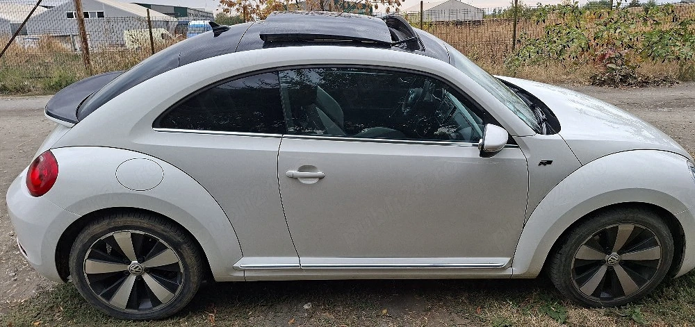 Volkswagen beetle