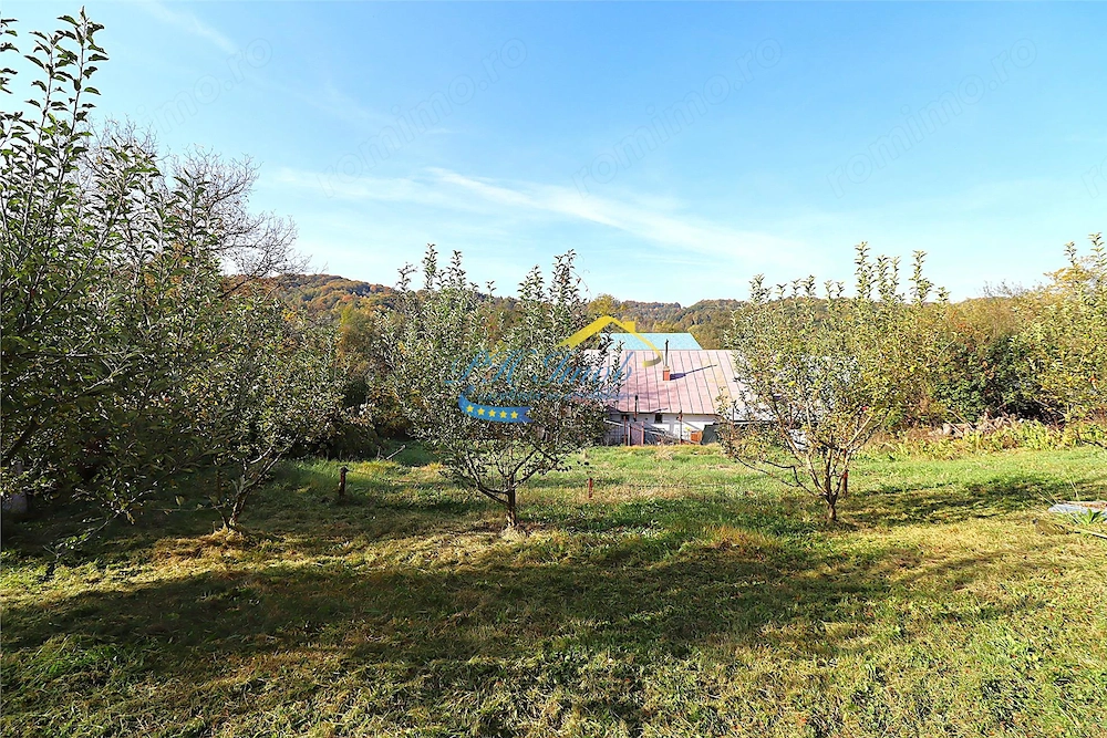 Teren Intravilan de vanzare, Provita de Jos