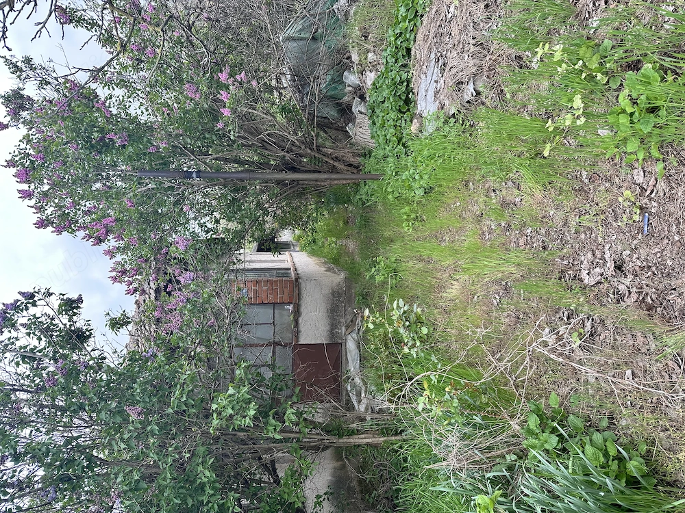 Vând terenuri în Crivat Calarasi