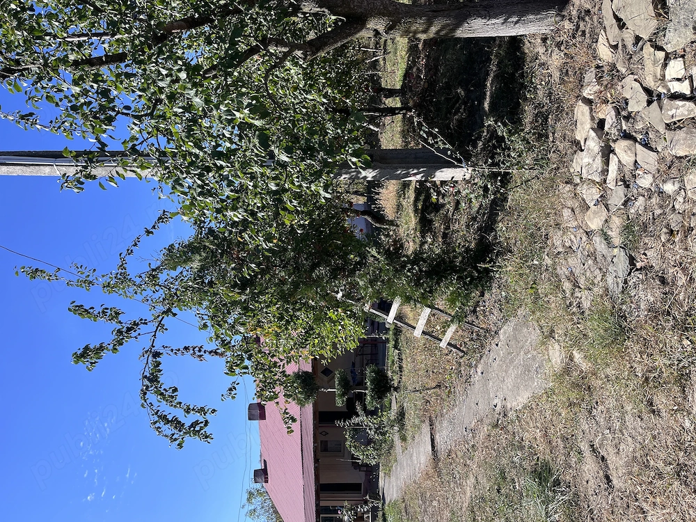 Vand teren intravilan 3012 mp + casa cu 3 intrari separate in Magura Bacau