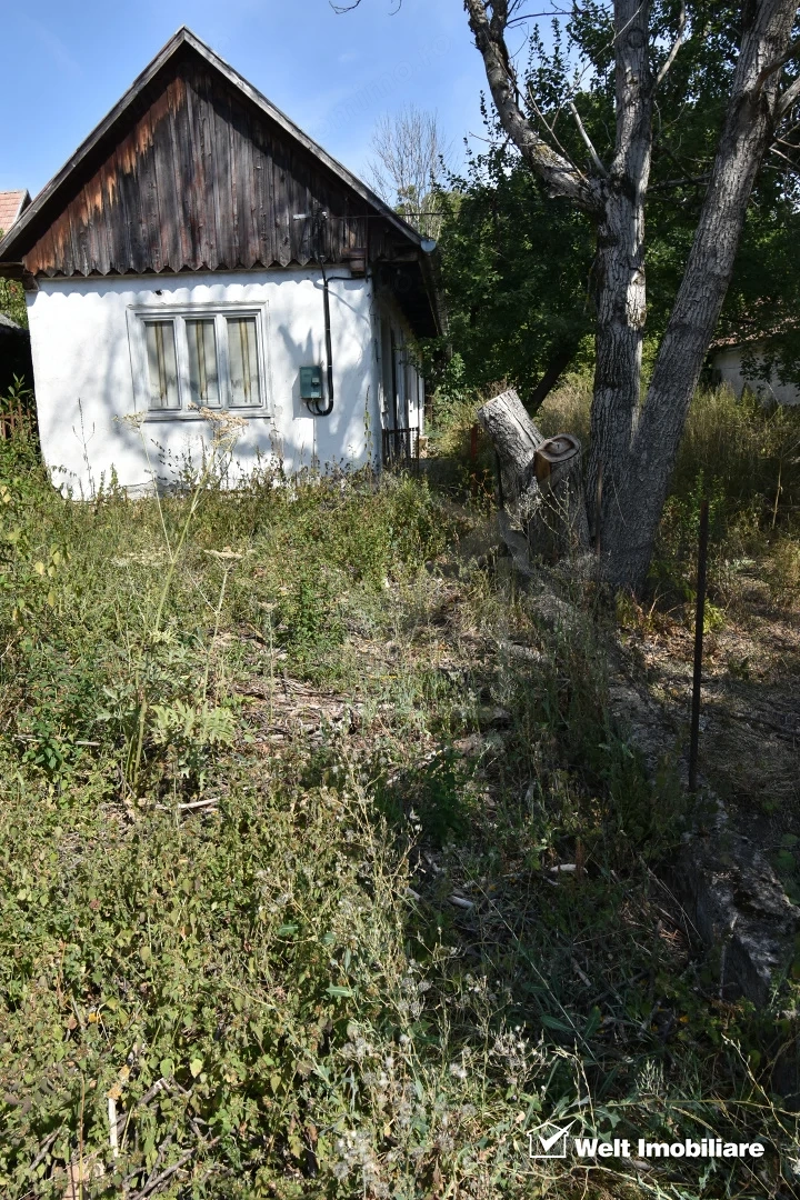 Casa cu teren mare in Manastireni zona centrala