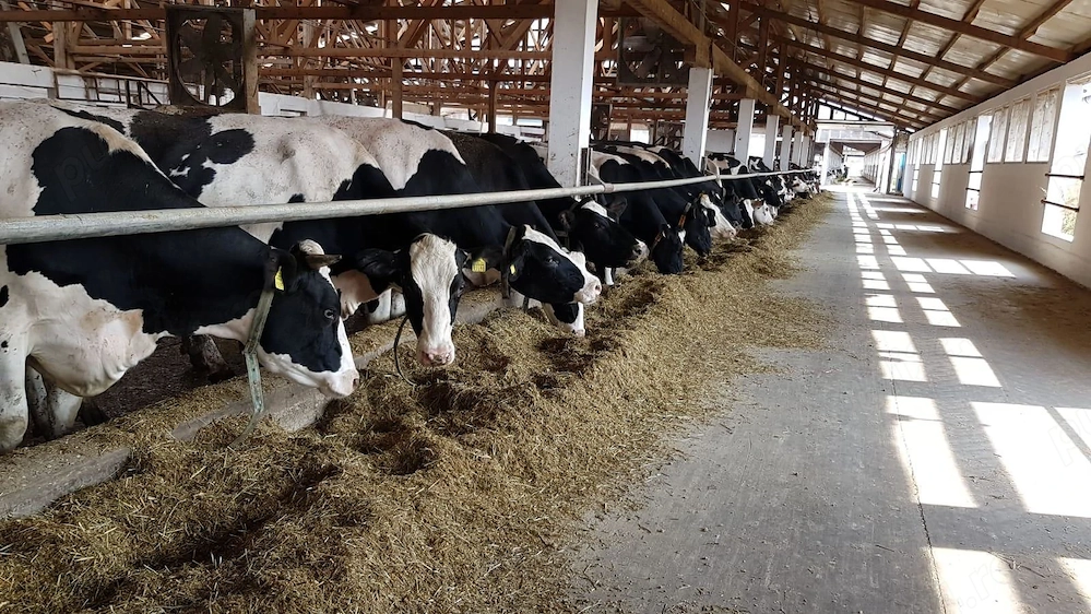 ANGAJAM SUDOR la Ferma Mociar de lângă Reghin