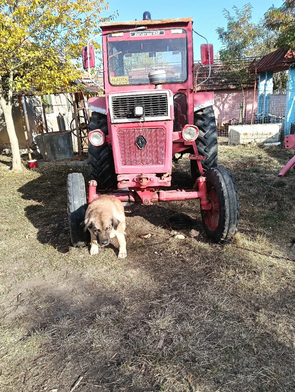 vand tractor cu utilaje