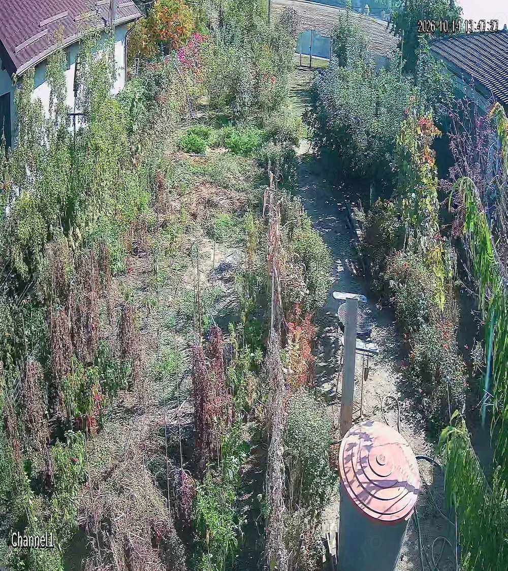 Teren de vanzare