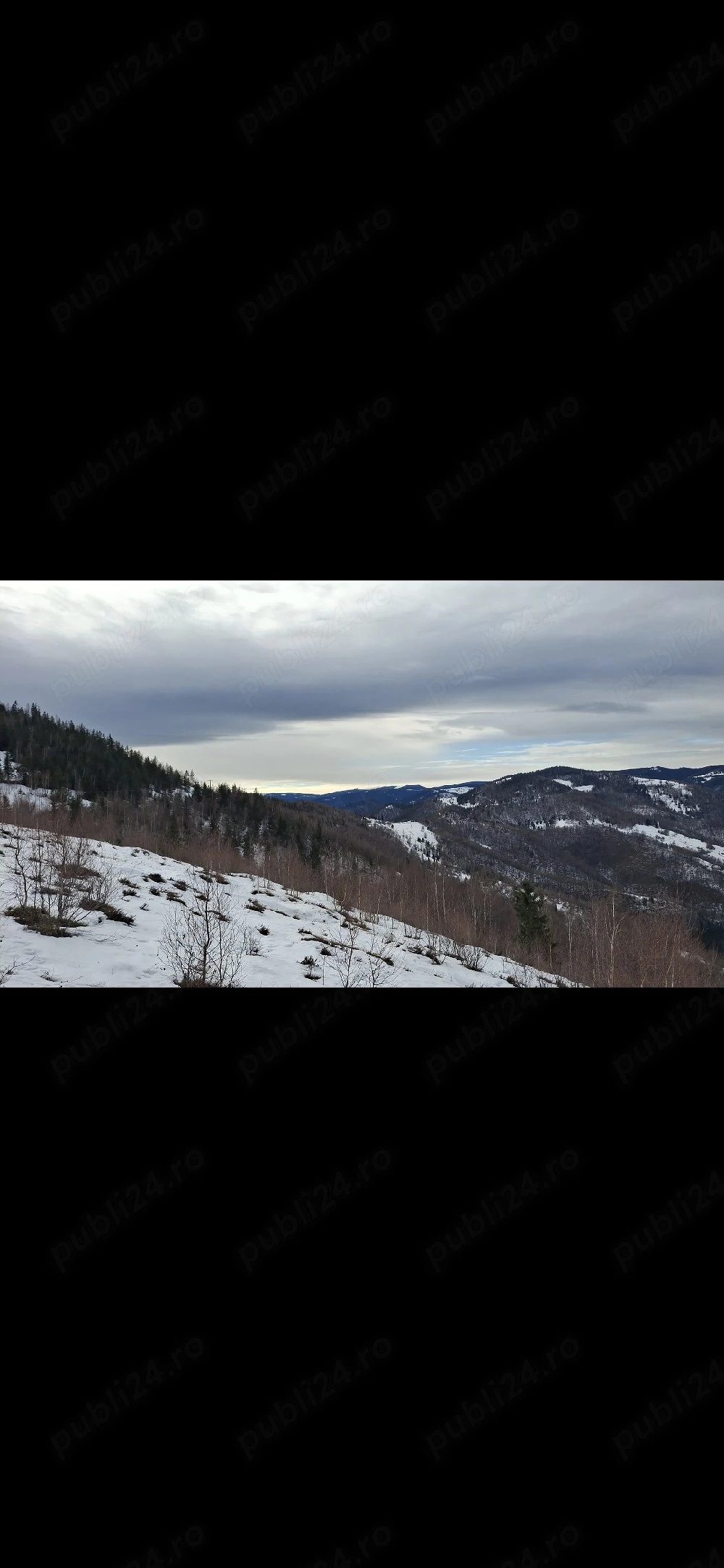 Teren Muntele Rece - poza 7