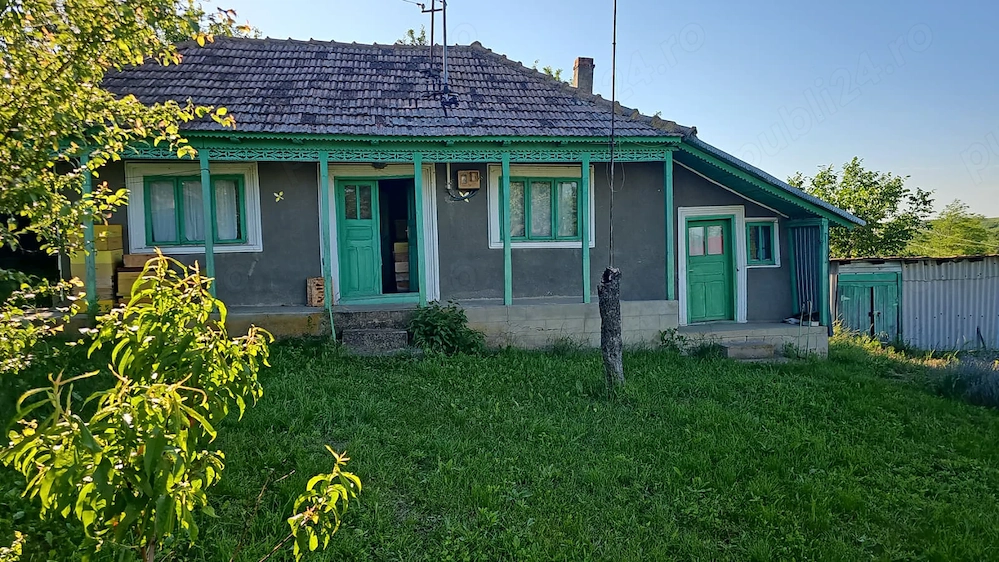 Particular Vând Casa + teren generos 5000 mp intravilan cu livada tanara si vita de vie productiva. 