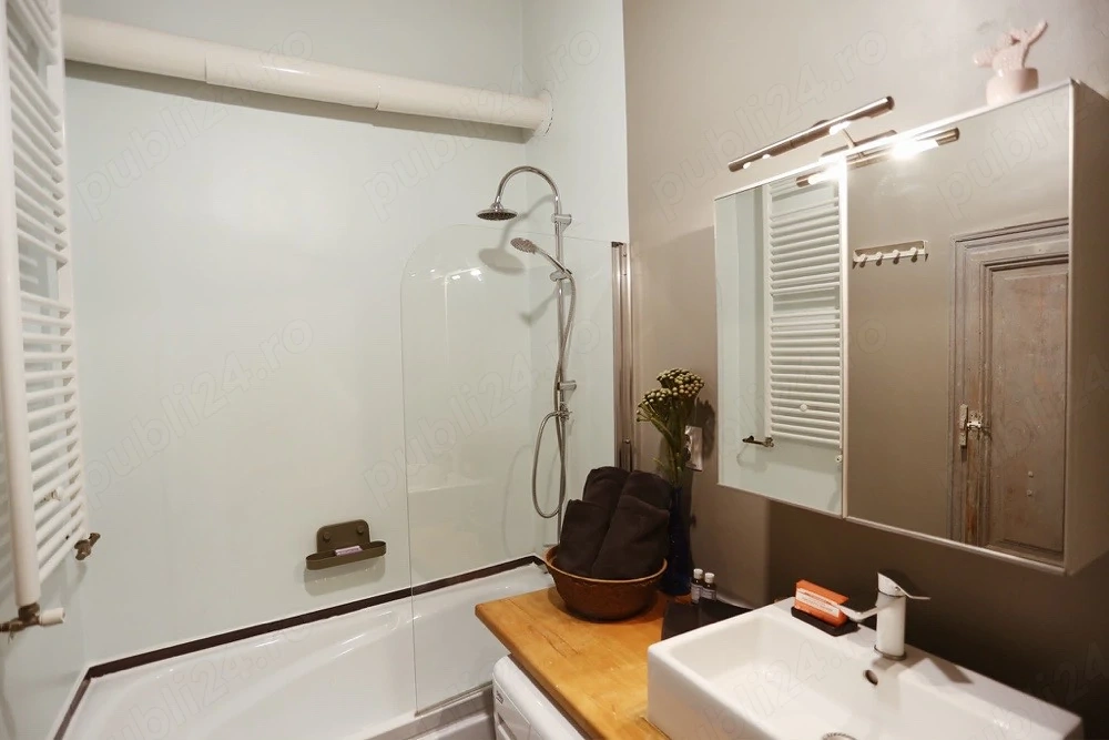 Apartament 1 camera Cluj-Napoca - poza 3