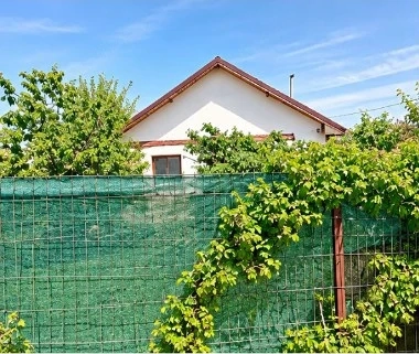 Casa de vânzare în Bujoreni, Județul Teleorman - la doar 50Km de București!