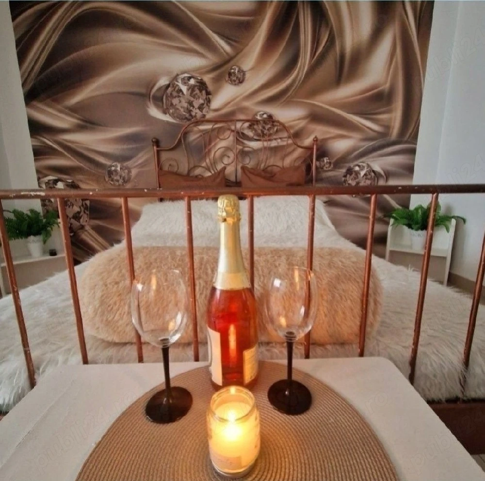 Garsoniera regim hotelier Craiova