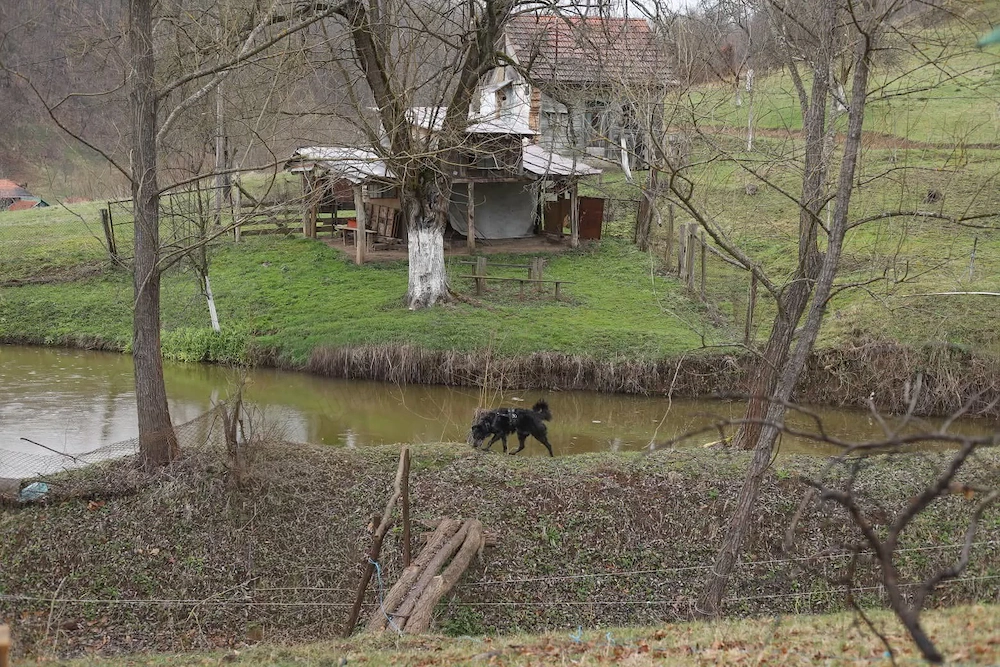 Teren intravilan 1,5 ha cu izvor, iaz și utilități, Certeju de Jos, Hunedoara