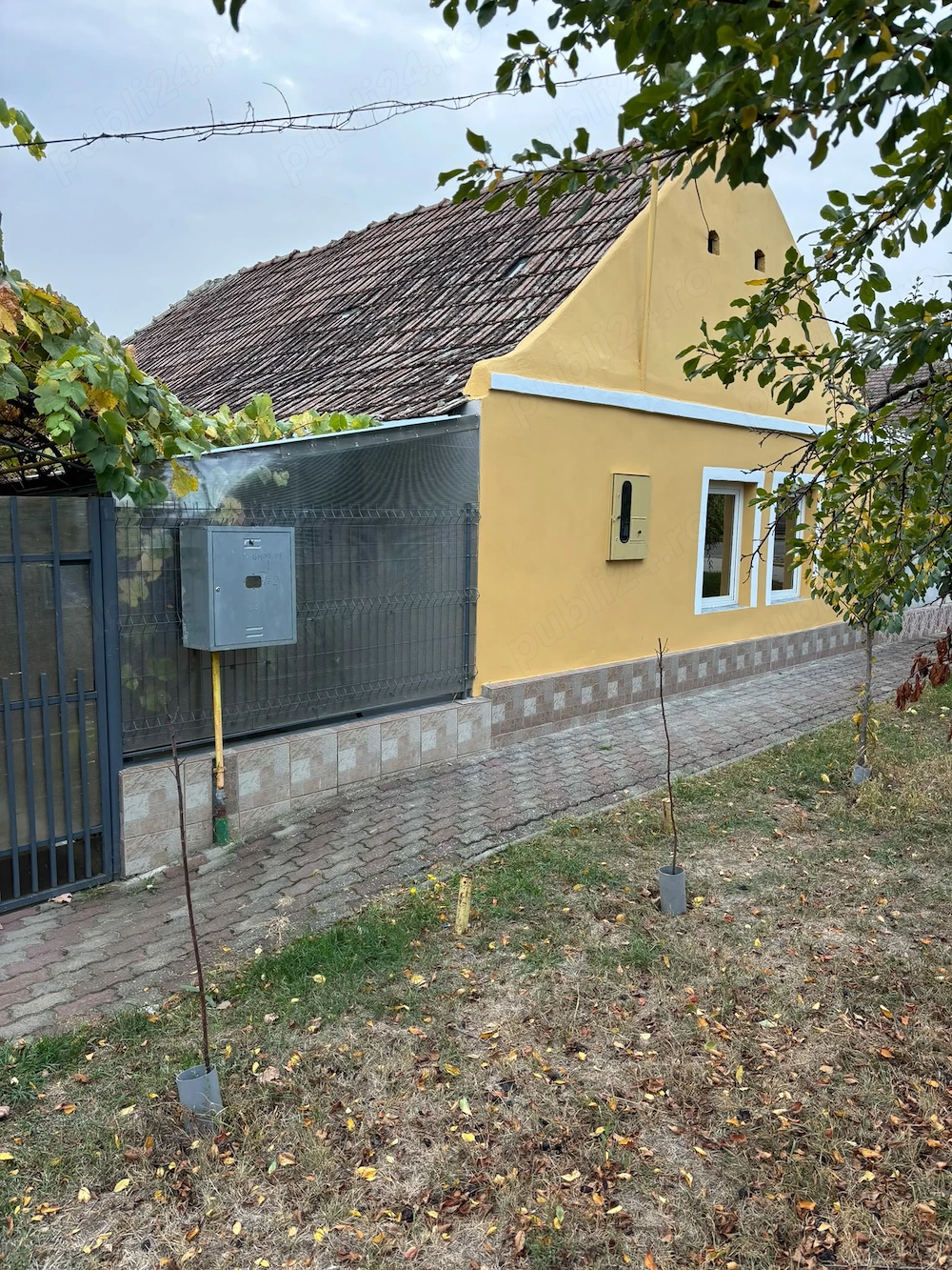Vând gospodărie cu 2 case in aceeași curte!