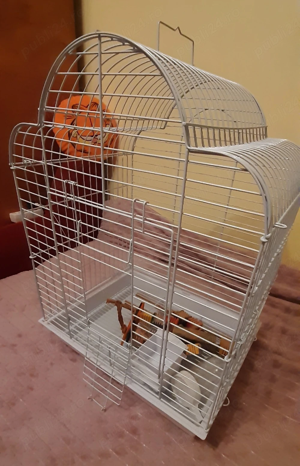 accesorii animale