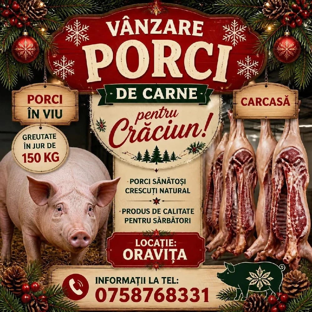 Porci de taiat si purcei