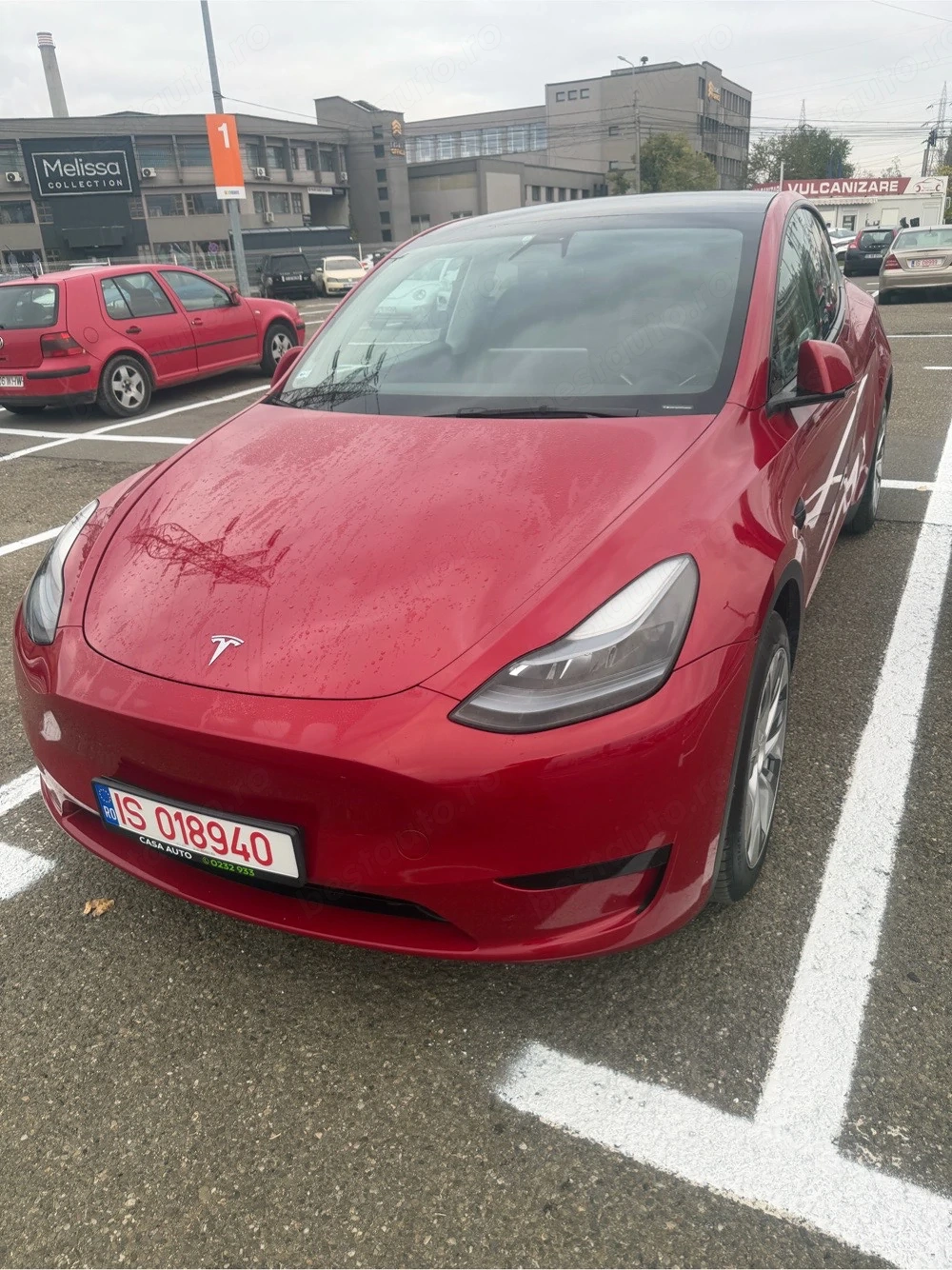 Tesla Model Y standard RWD