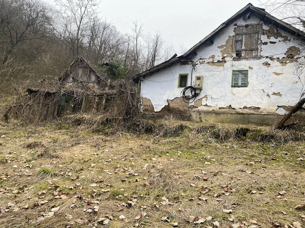 Casa bătrânească Halalis Arad