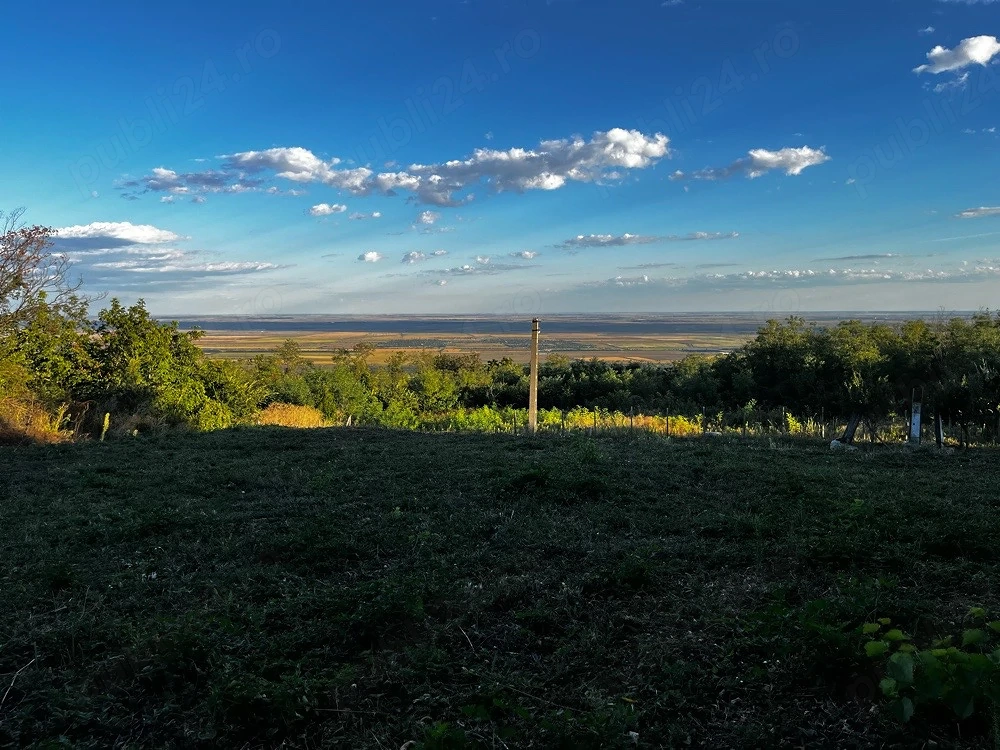 Teren Intravilan 7.593 mp | Pietroasa Mică, Buzău   Panoramă Spectaculoasă, Pădure în Spate & Potenț