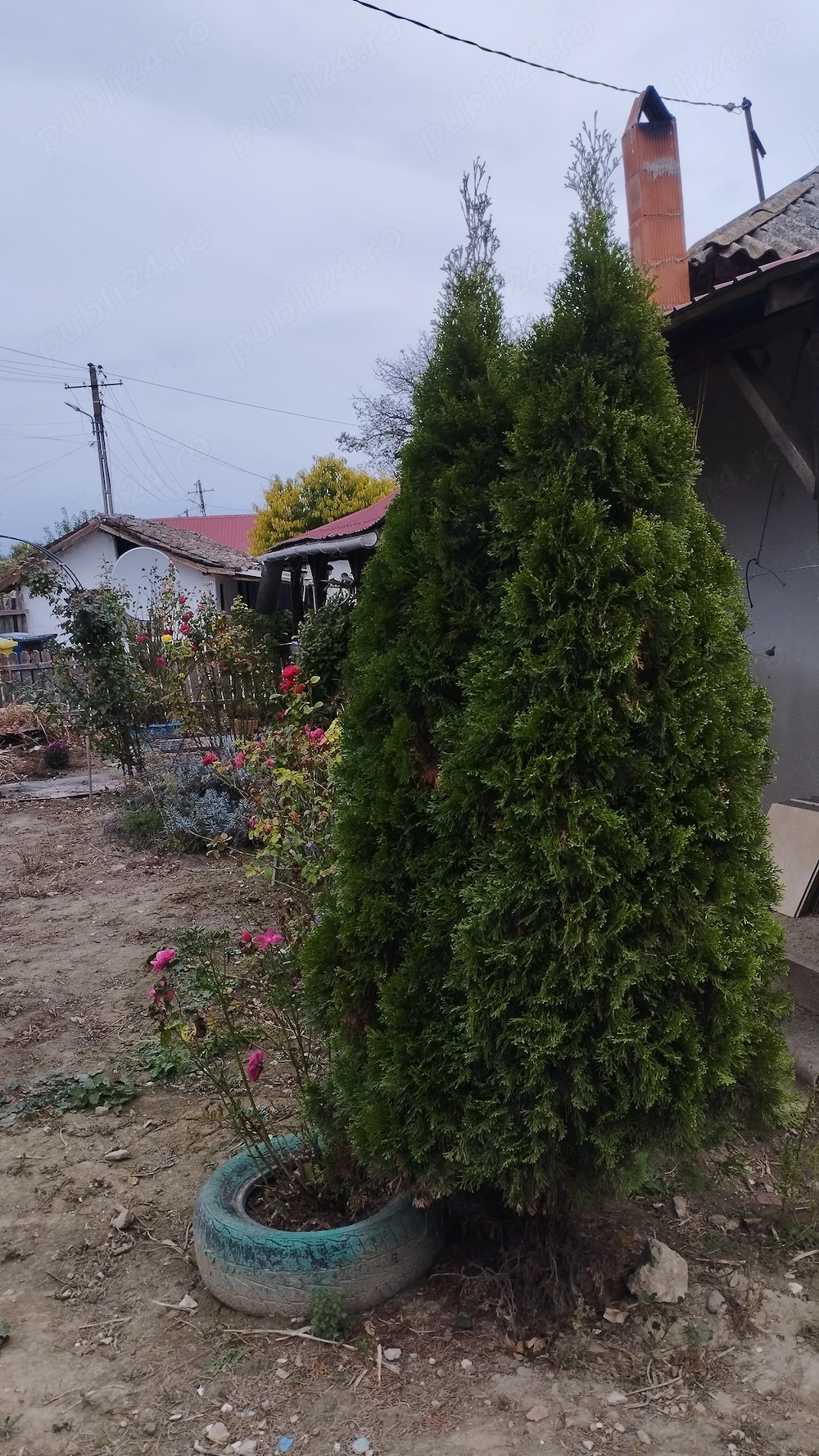 Casă de vânzare 