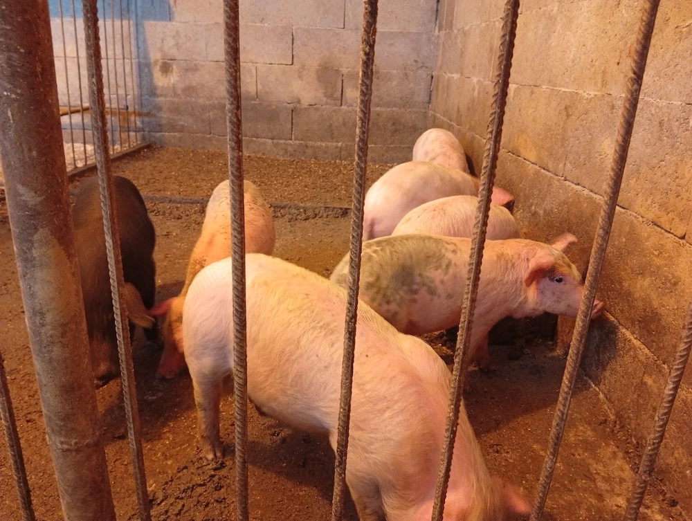Schimbă domiciliul 