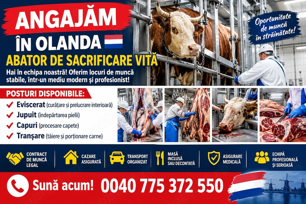 Olanda abator