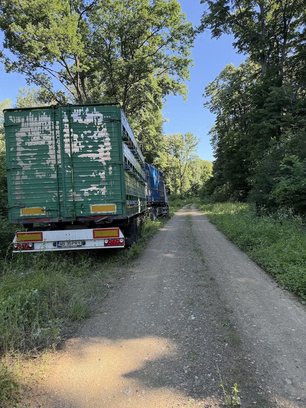 VOLVO FM9 2004 BDF   camion omologat apicol