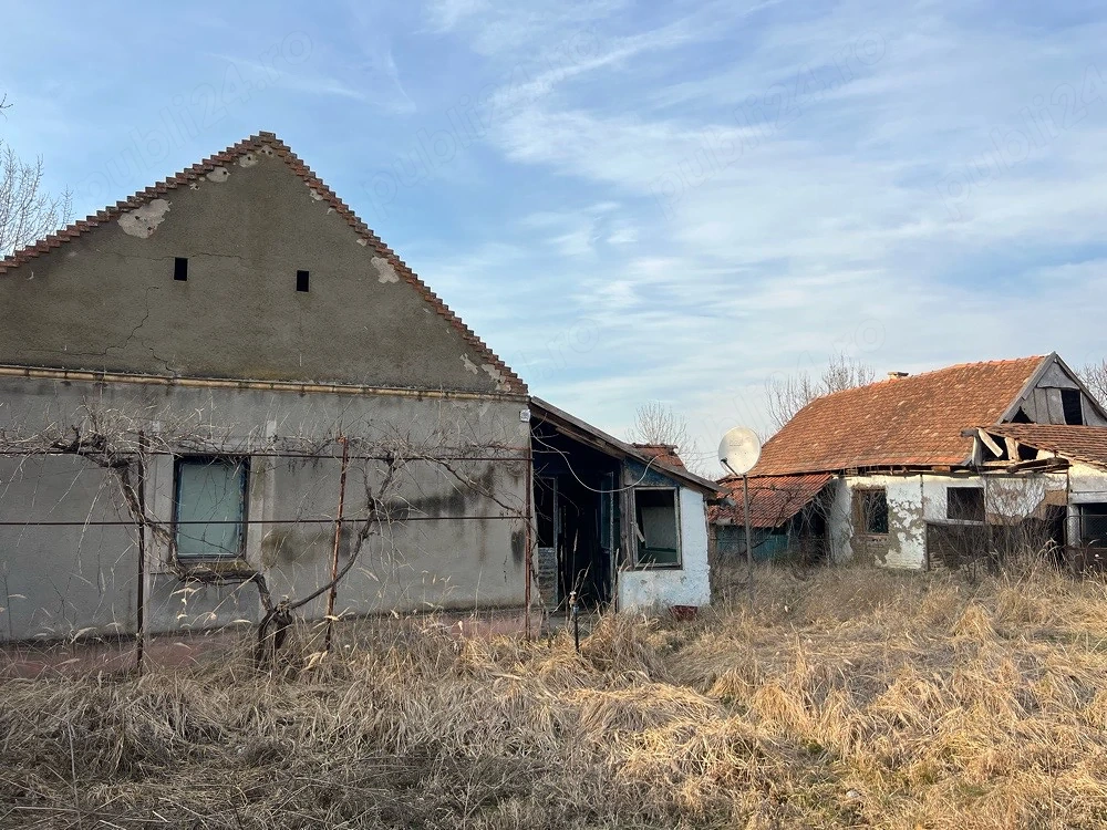 Proprietate de vânzare   Ferendia, județul Timiș
