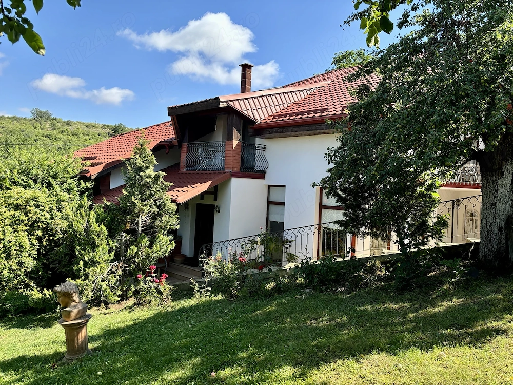 Teren de vânzare Valea Domnească loc. Ghioroc