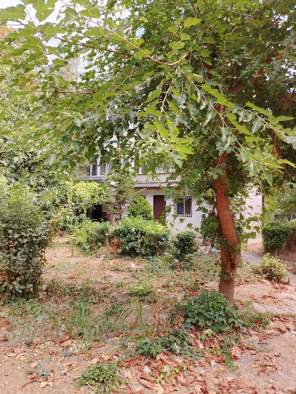 Închiriez apt 2 camere, Tomis Nord, parter