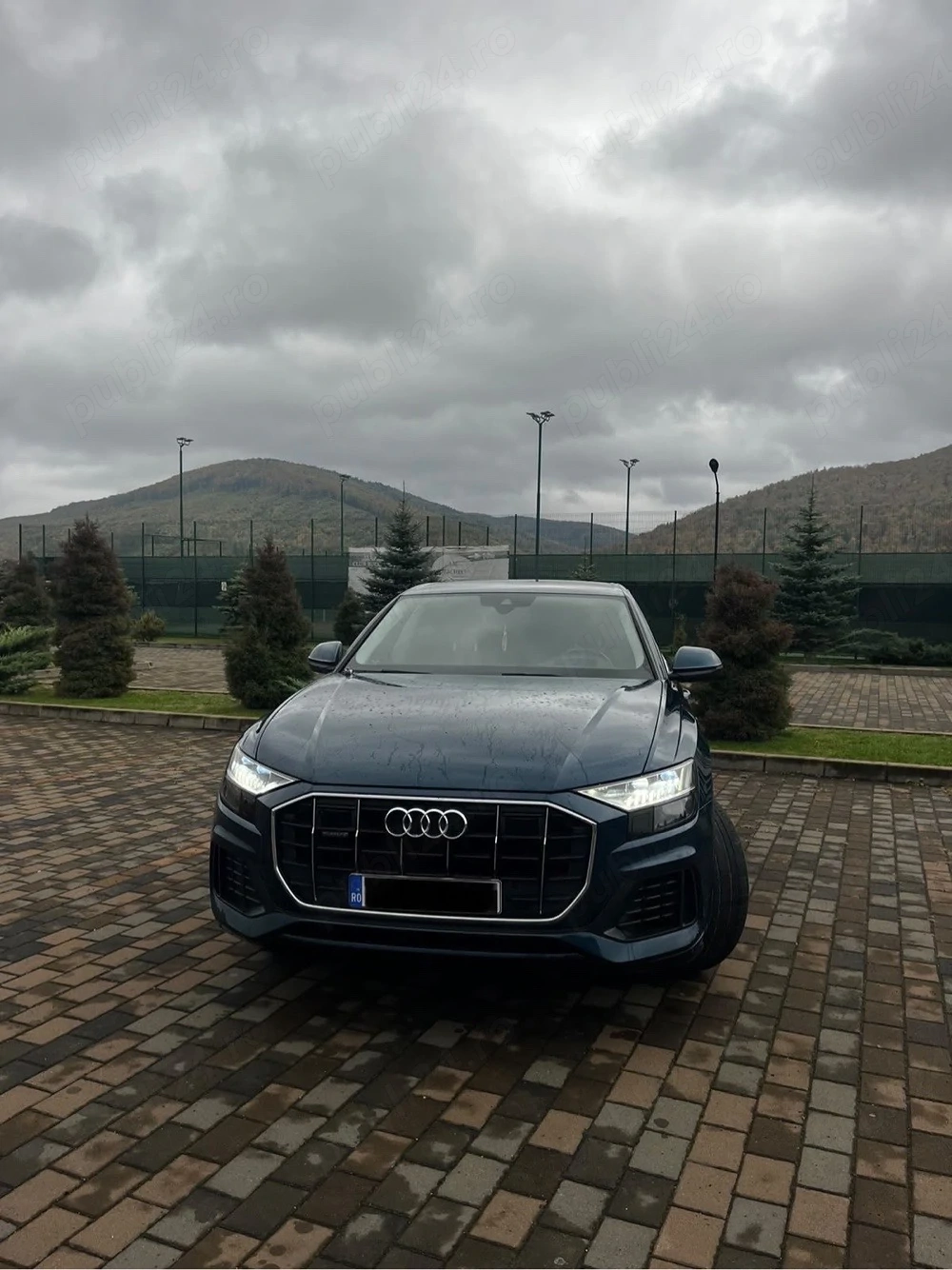 vand audi q8 5.0tdi Mild-Hybrid