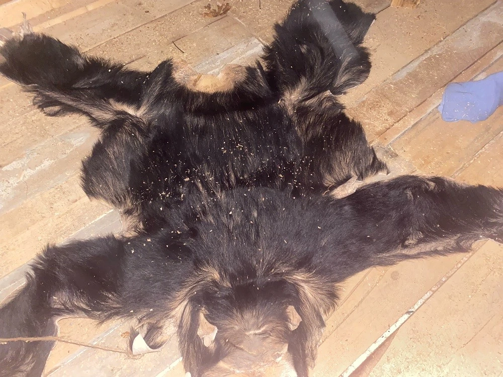 piele de babuin (tabacita)