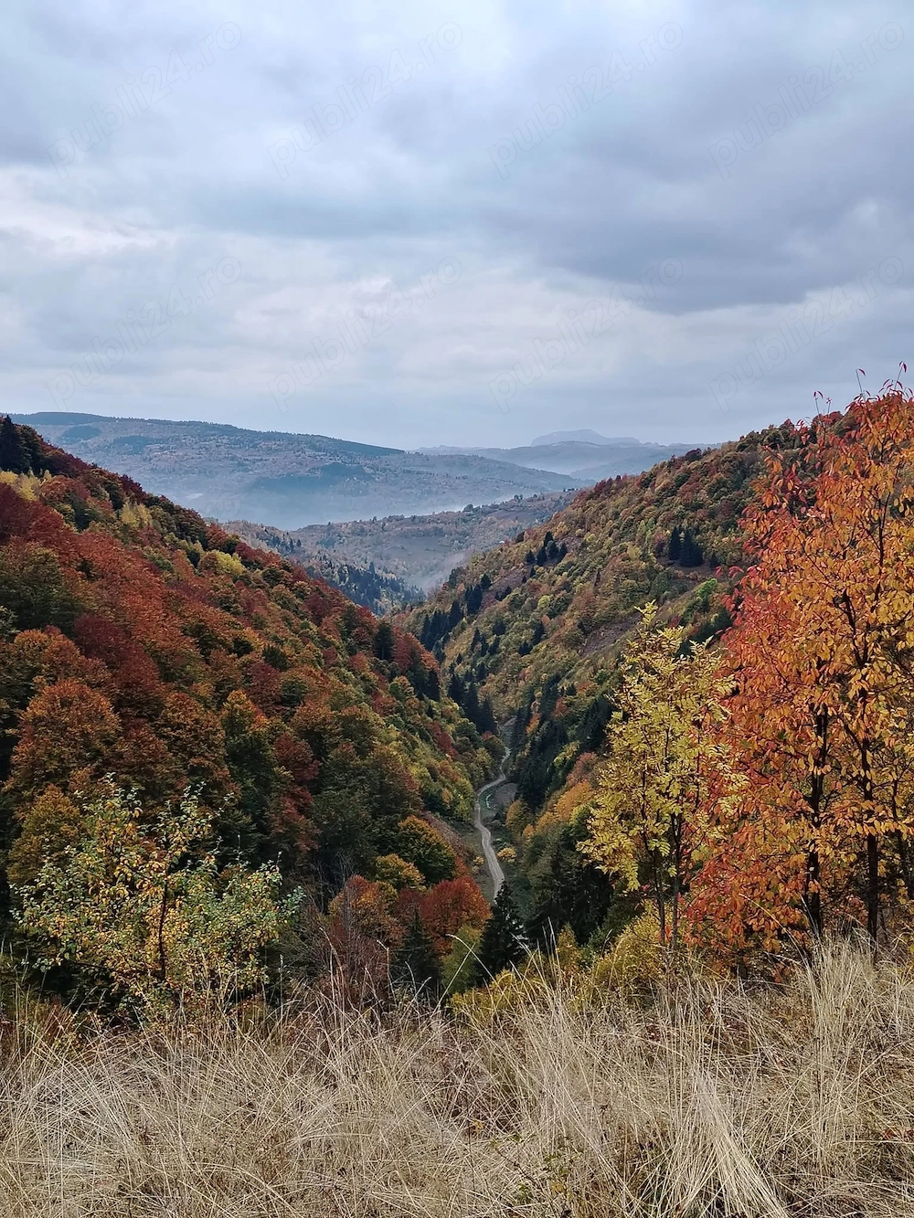Teren extravilan in Bistra
