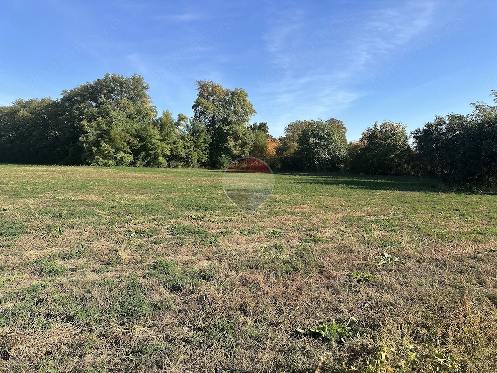 Teren 1,122mp Stefan Cel Mare Ghigoiesti / Strada Cameliei