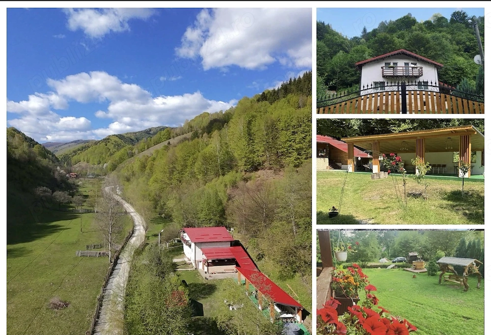 Casă de vacanță  Pensiune 