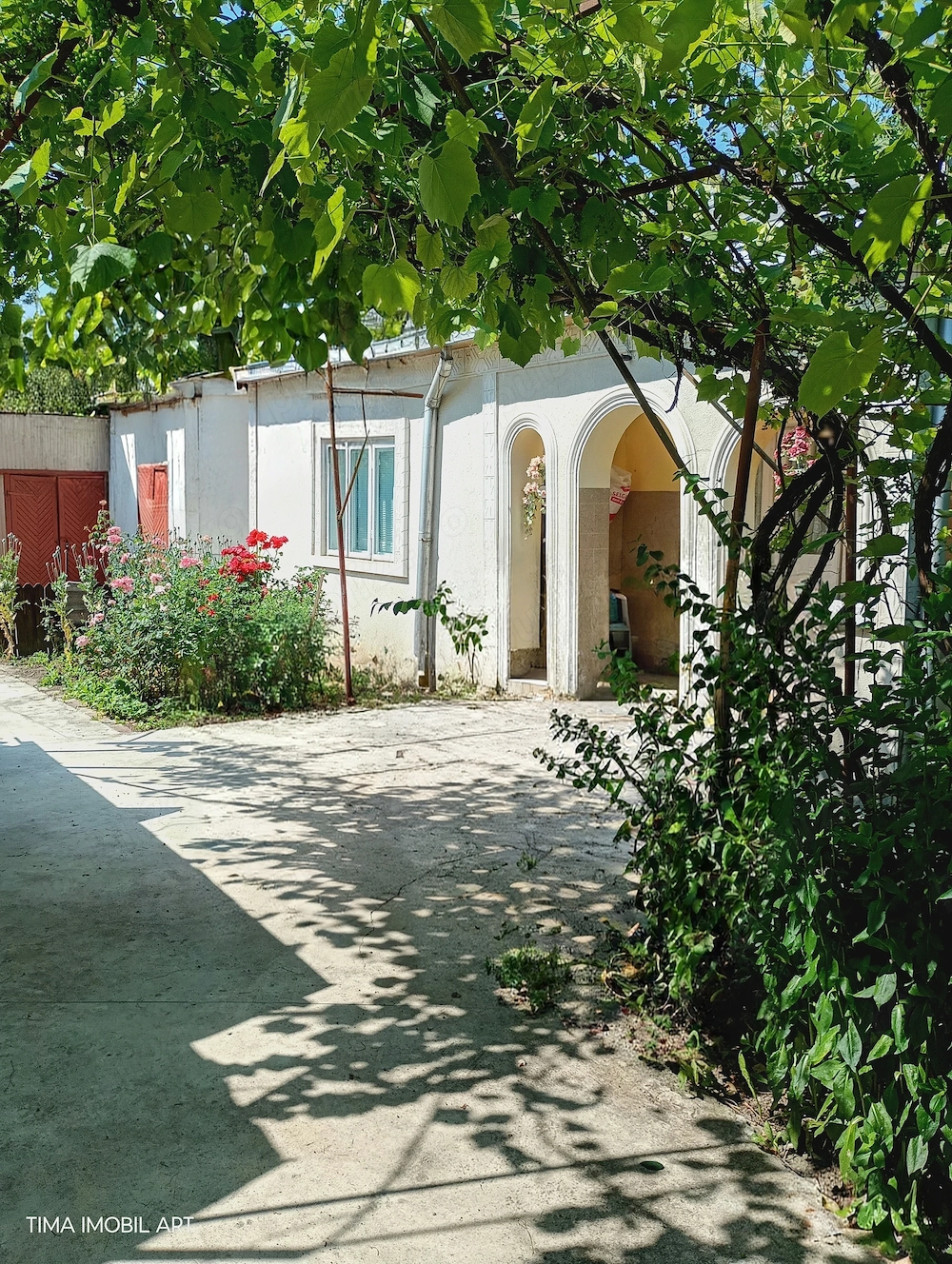 Doua case o Proprietate  Horlaceni , Dorohoi   DUPLEX