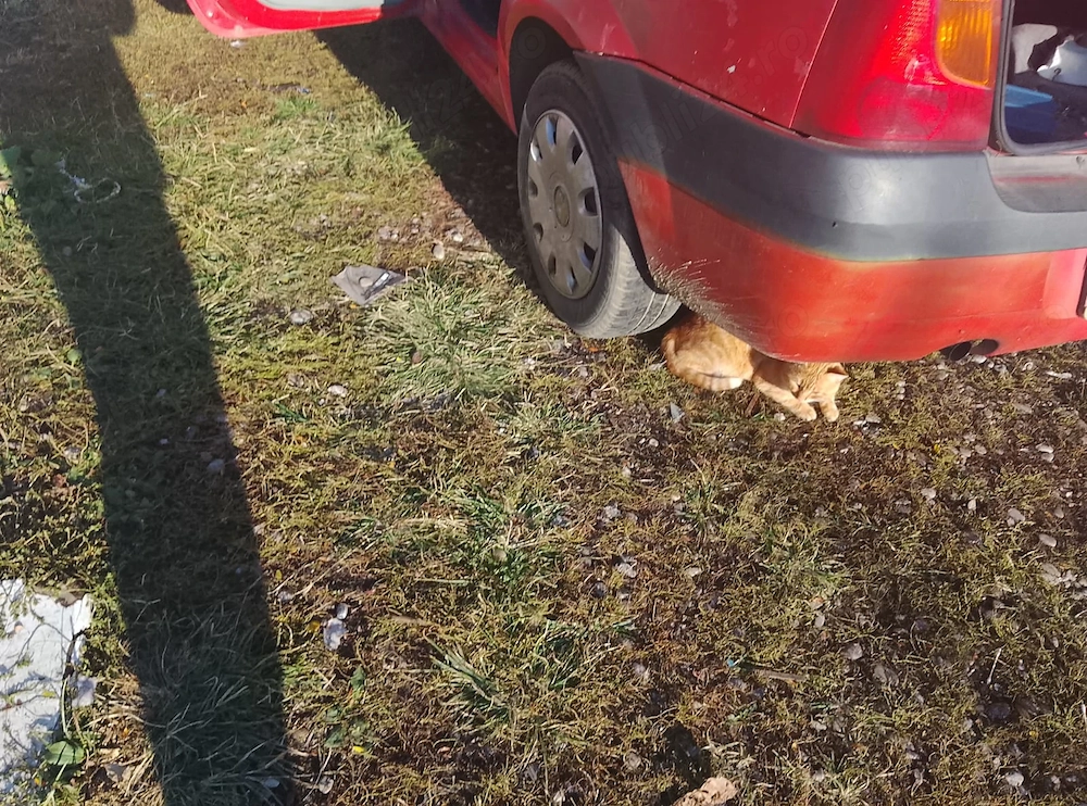 Vând Dacia Logan 