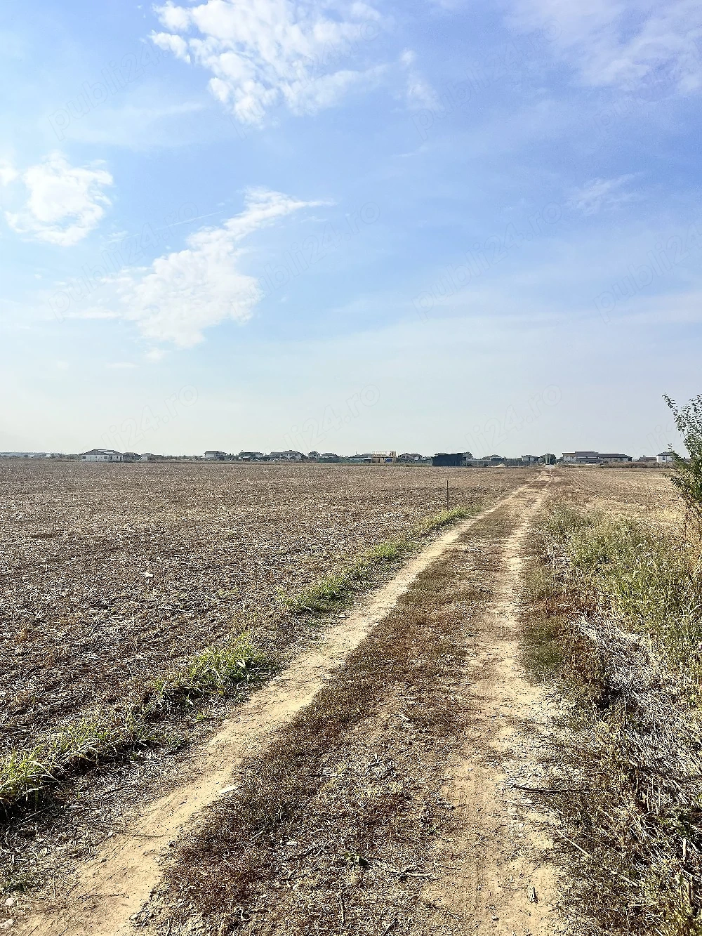 Teren Dragomiresti-Vale - poza 5