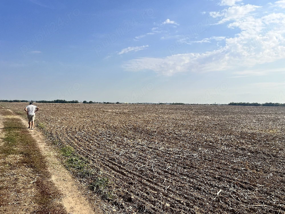 Teren Dragomiresti-Vale - poza 4