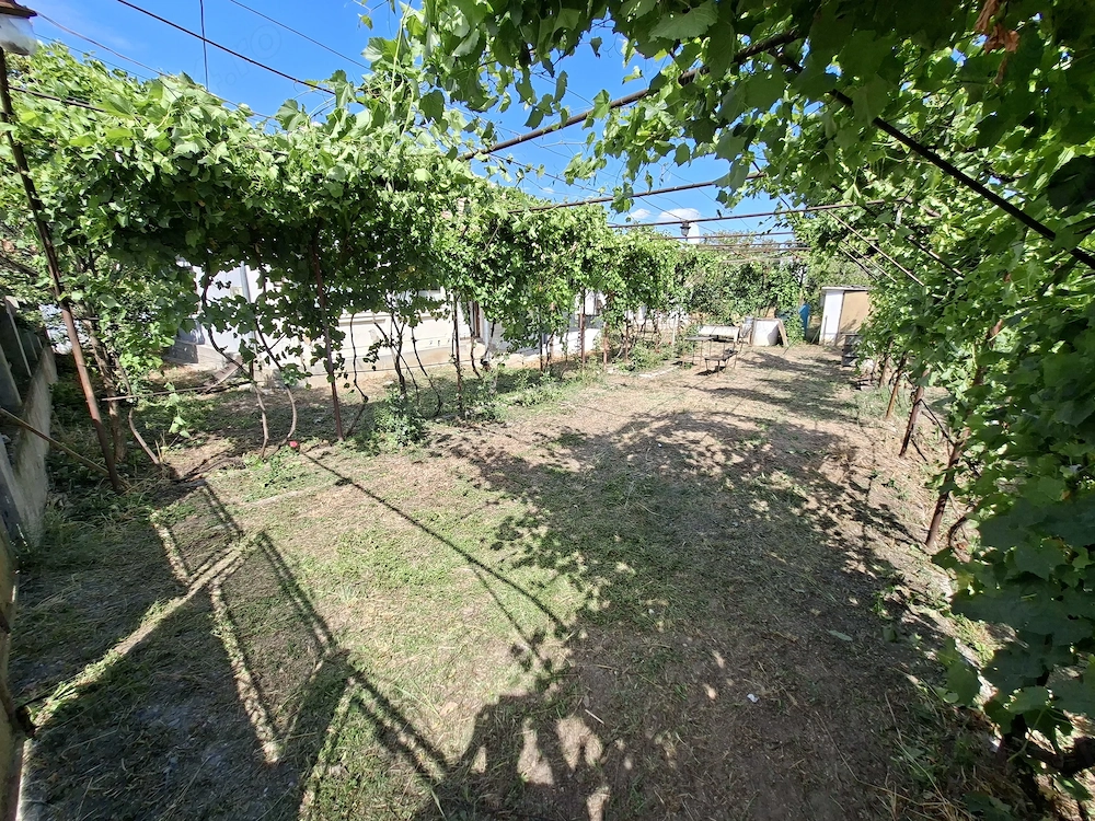 Vand casa în comuna Rogova (25km de Severin) având suprafața de 1140mp