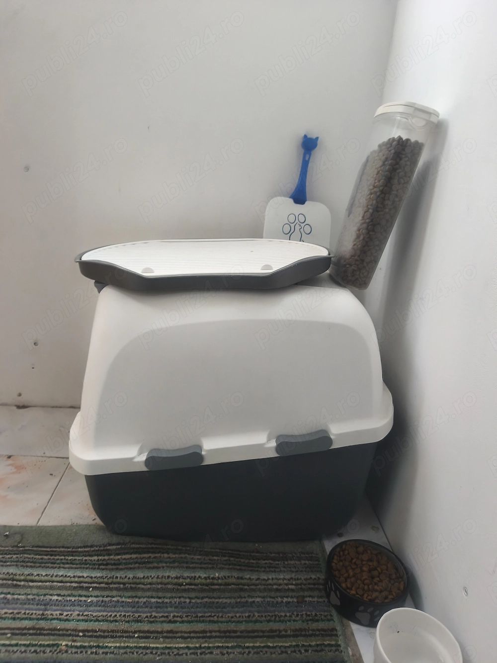 Accesorii pisică stare 