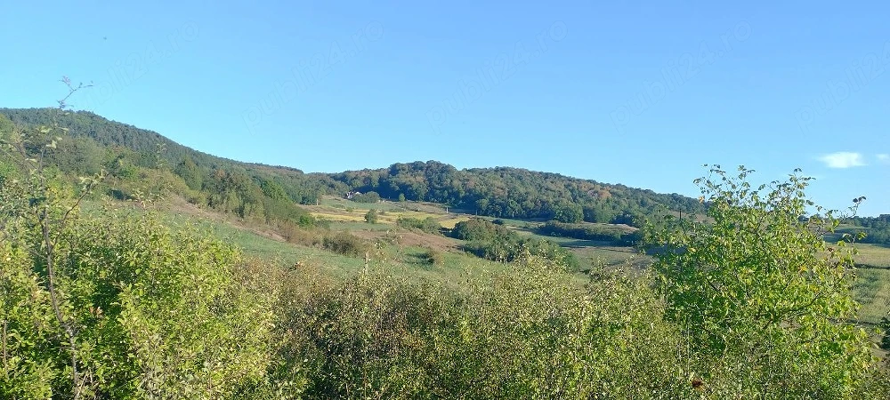 teren de vanzare